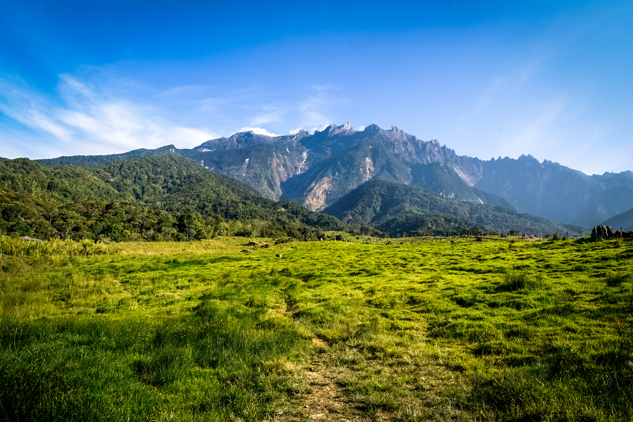 sepilok (2).webp